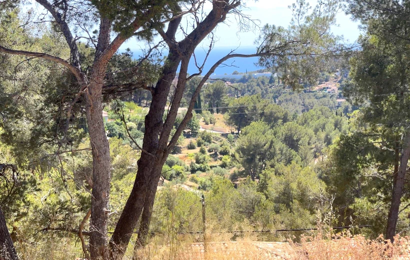 Terrain avec vue mer à vendre sur la Cadière-d'Azur