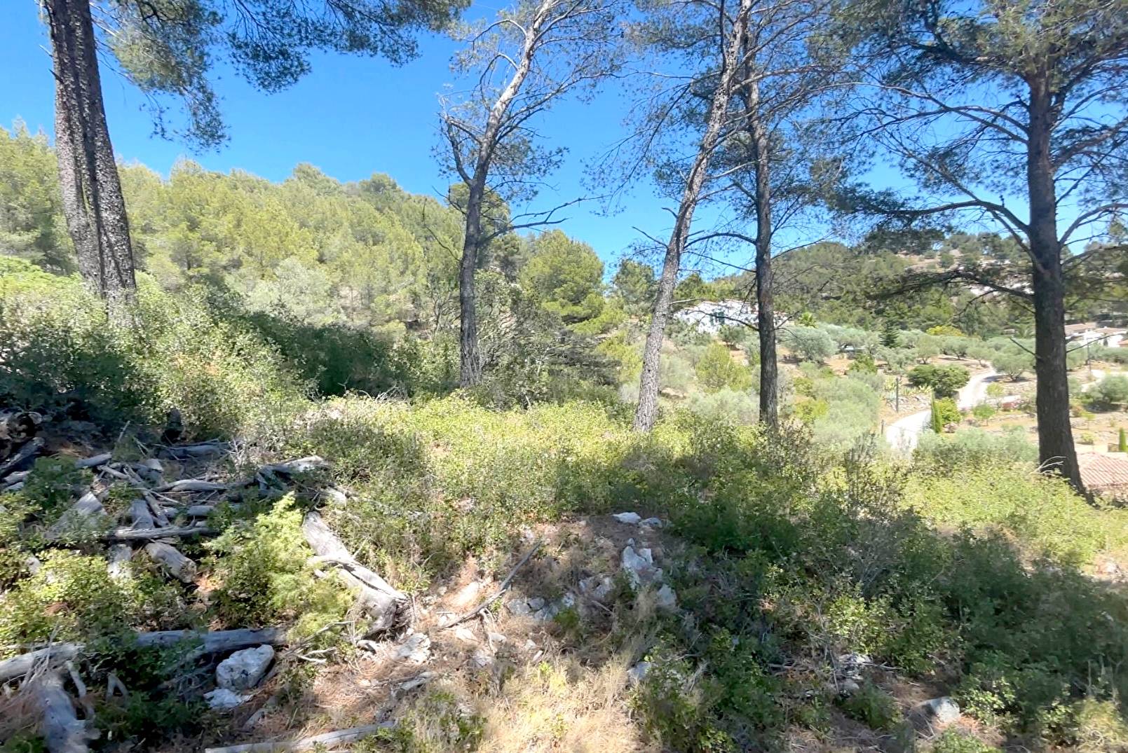 Grande parcelle avec permis de construire à vendre à la limite de Bandol