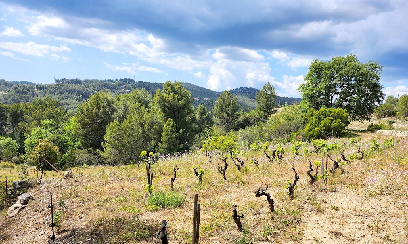 Terrain en zone boisée à vendre à proximité de l'autoroute A50