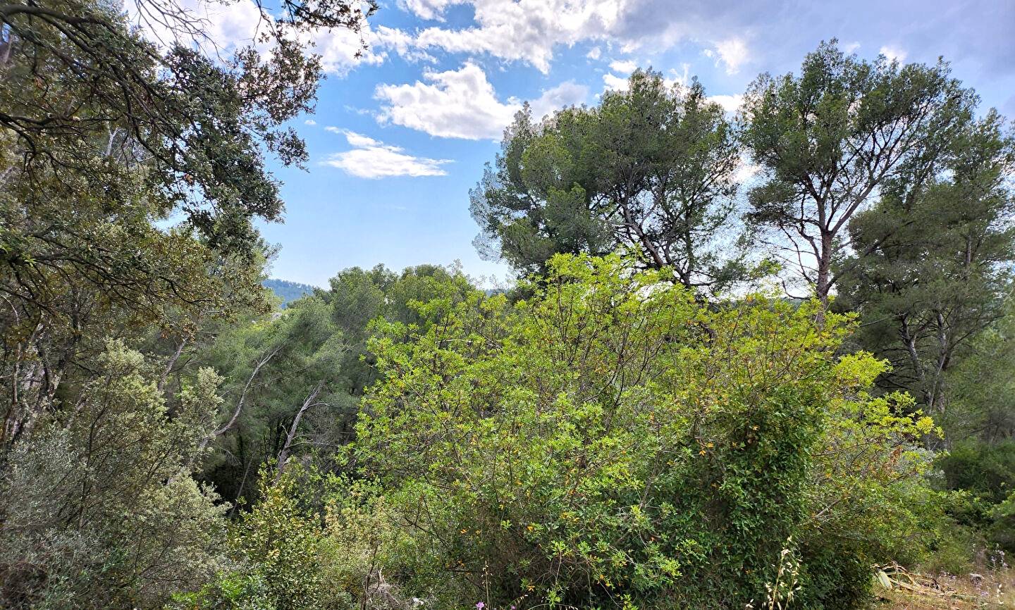 Terrain inconstructible à vendre à Sanary-sur-Mer, sur le secteur de la Clavelle