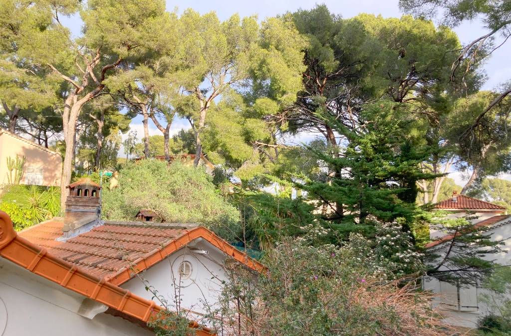 Petite vue mer à travers la verdure