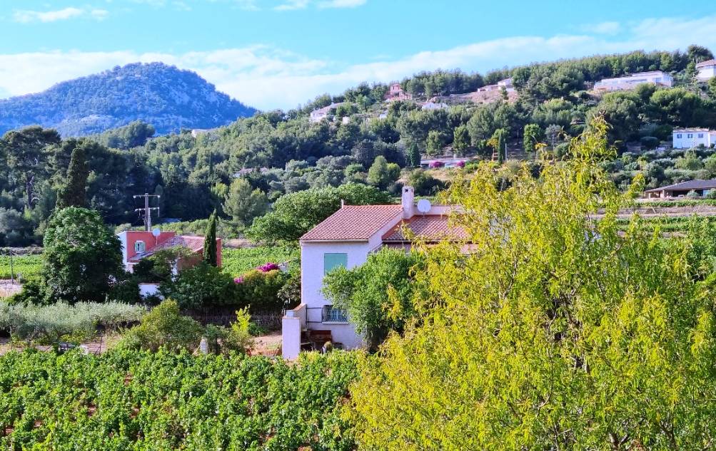 Maison avec bergerie à vendre dans un décor avec des oliviers et vignes